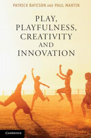 Kniha Play, Playfulness, Creativity and Innovation Patrick Bateson