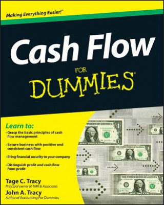 Carte Cash Flow For Dummies John A Tracy