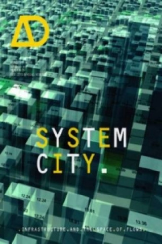 Carte System City -  Infrastructure and the Spaces of Flows AD Michael Weinstock