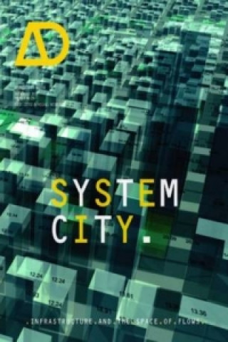 Kniha System City -  Infrastructure and the Spaces of Flows AD Michael Weinstock