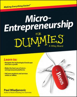 Knjiga Micro-Entrepreneurship For Dummies Paul Mladjenovic