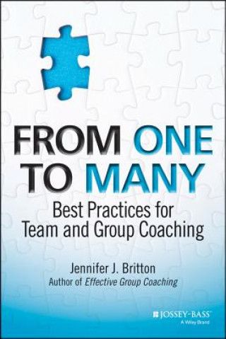 Kniha From One to Many - Best Practices for Team and Group Coaching Jennifer J Britton