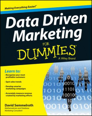 Carte Data Driven Marketing For Dummies David Semmelroth