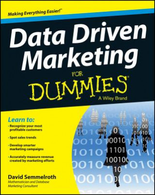 Kniha Data Driven Marketing For Dummies David Semmelroth