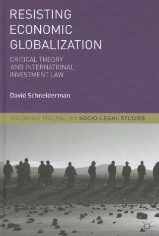 Könyv Resisting Economic Globalization Schneiderman