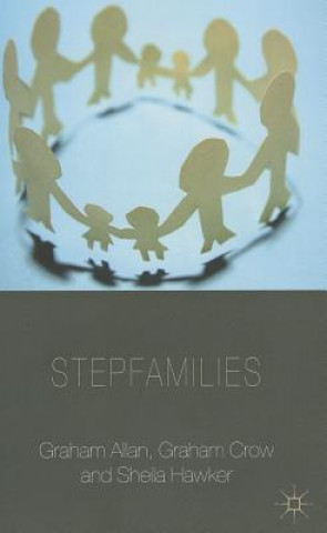 Buch Stepfamilies G. Allan