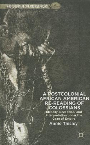 Könyv Postcolonial African American Re-reading of Colossians Annie Tinsley