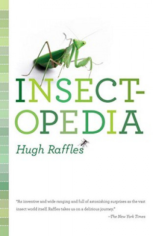 Book Insectopedia Hugh Raffles