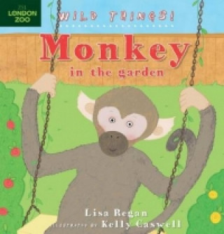 Knjiga Monkey Lisa Regan