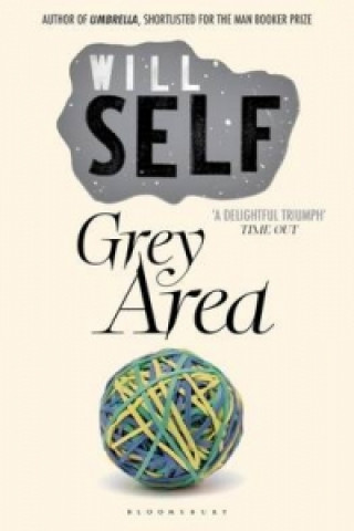 Kniha Grey Area Will Self