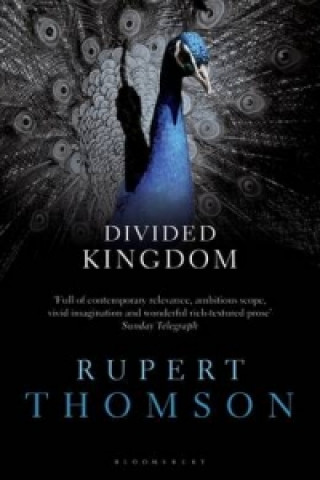 Book Divided Kingdom Rupert Thomson