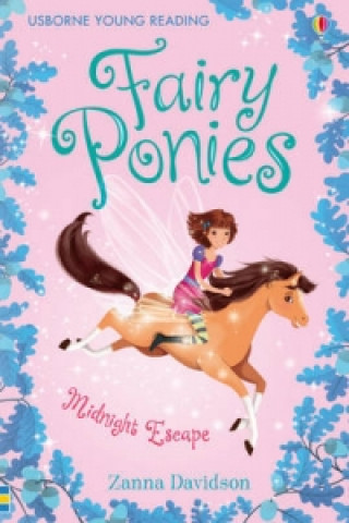 Könyv Fairy Ponies Midnight Escape Zanna Davidson