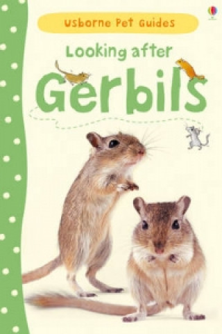 Könyv Looking after Gerbils Laura Howell