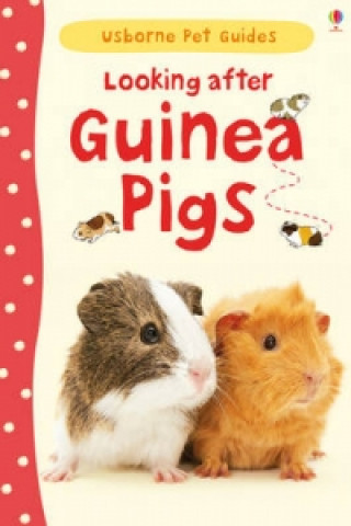 Книга Looking after Guinea Pigs Laura Howell
