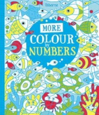 Carte More Colour By Numbers Fiona Watt