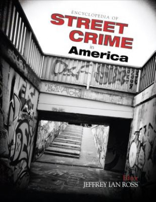 Kniha Encyclopedia of Street Crime in America Jeffrey Ian Ross