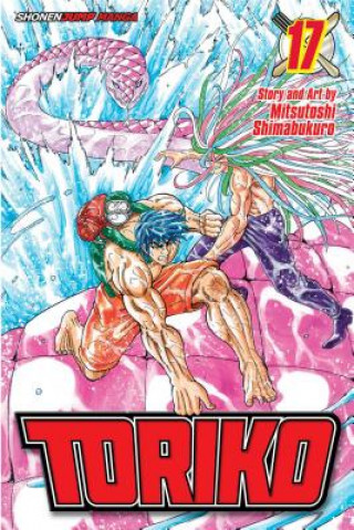 Kniha Toriko, Vol. 17 Mitsutoshi Shimabukuro