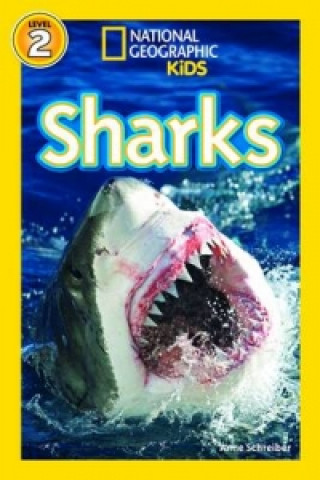 Książka National Geographic Kids Readers: Sharks Anne Schreiber