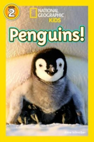 Carte National Geographic Kids Readers: Penguins Anne Schreiber