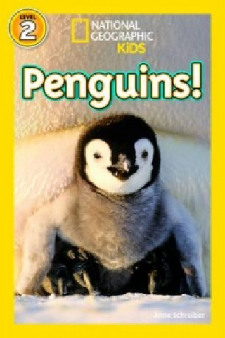 Книга National Geographic Kids Readers: Penguins Anne Schreiber