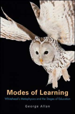 Kniha Modes of Learning George Allan