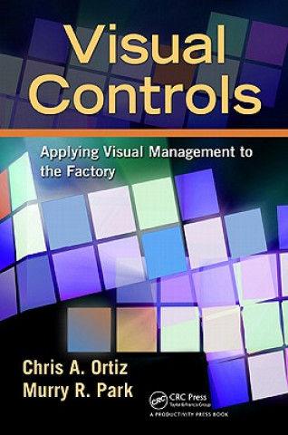 Könyv Visual Controls Chris A Ortiz