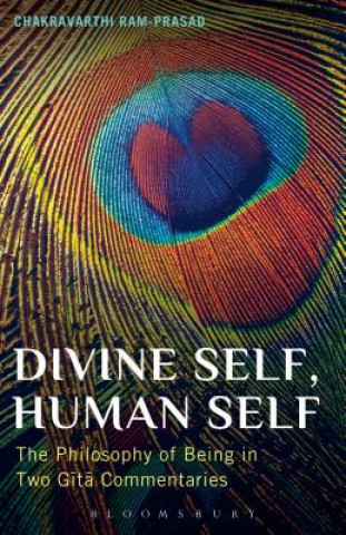 Könyv Divine Self, Human Self Chakravarthi Ram Prasad