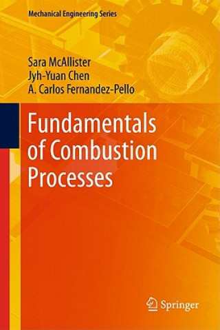 Книга Fundamentals of Combustion Processes Sara McAllister