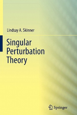 Könyv Singular Perturbation Theory Lindsay Skinner