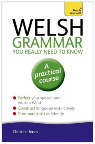 Carte Welsh Grammar You Really Need to Know: Teach Yourself Christine Jones