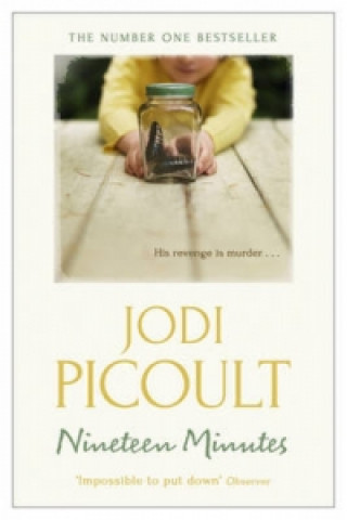 Könyv Nineteen Minutes Jodi Picoult