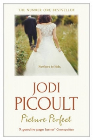 Kniha Picture Perfect Jodi Picoult