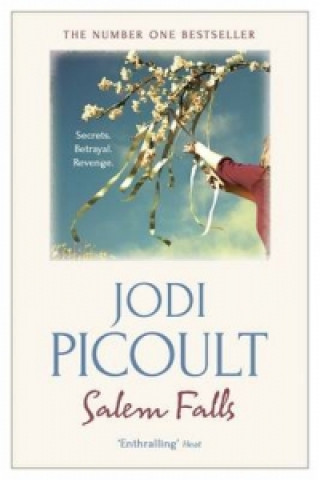 Książka Salem Falls Jodi Picoult