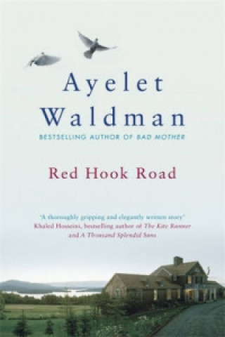 Kniha Red Hook Road Ayelet Waldman