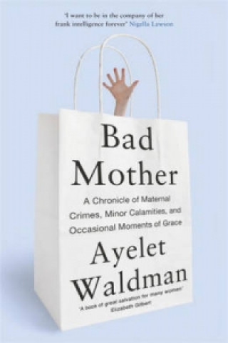 Kniha Bad Mother Ayelet Waldman