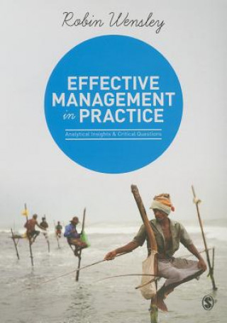 Kniha Effective Management in Practice Robin Wensley