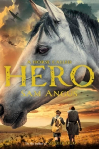Carte Horse Called Hero Sam Angus