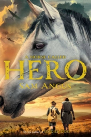 Książka Horse Called Hero Sam Angus