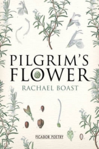 Carte Pilgrim's Flower Rachael Boast