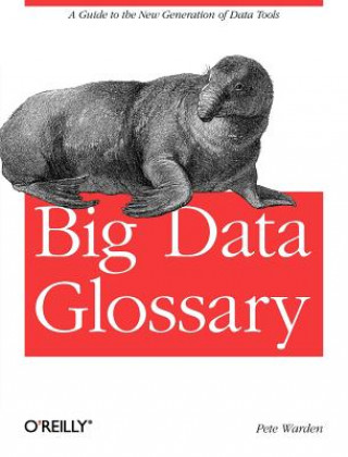 Книга Big Data Glossary Pete Warden