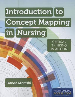 Kniha Introduction To Concept Mapping In Nursing Schmehl