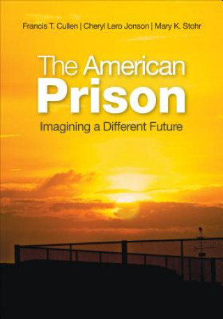 Kniha American Prison Cheryl Lero Jonson