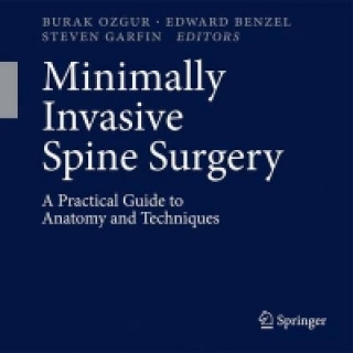 Kniha Minimally Invasive Spine Surgery Burak Ozgur
