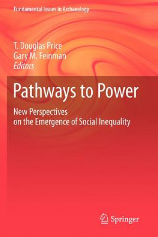 Kniha Pathways to Power T Douglas Price