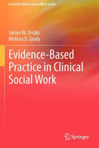 Könyv Evidence-Based Practice in Clinical Social Work James W Drisko