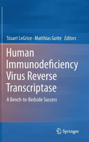 Kniha Human Immunodeficiency Virus Reverse Transcriptase LeGrice
