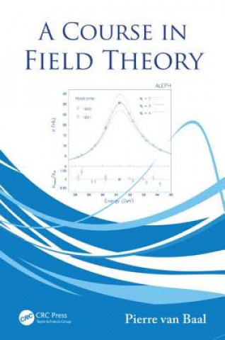 Könyv Course in Field Theory Pierre van Baal