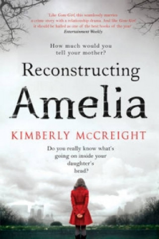 Kniha Reconstructing Amelia Kimberly McCreight