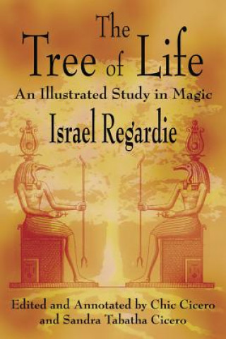 Kniha Tree of Life Israel Regardie