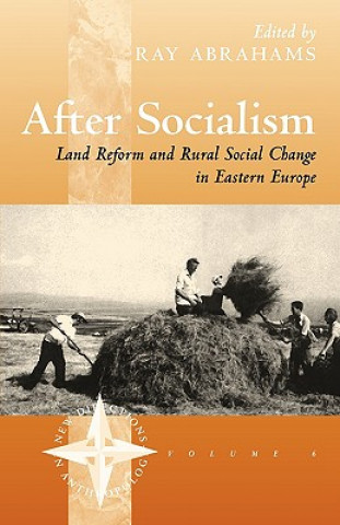 Kniha After Socialism R Abrahams
